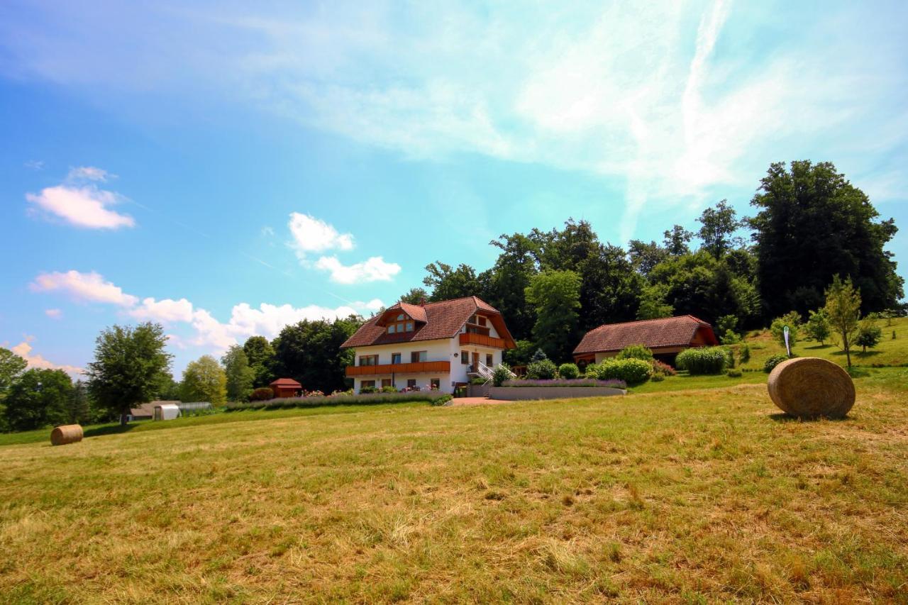 Villa Katarina Mokronog Exterior photo