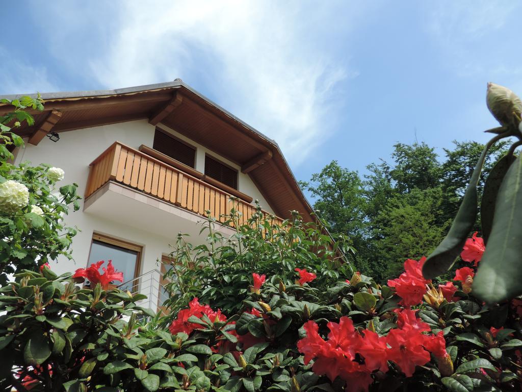 Villa Katarina Mokronog Exterior photo